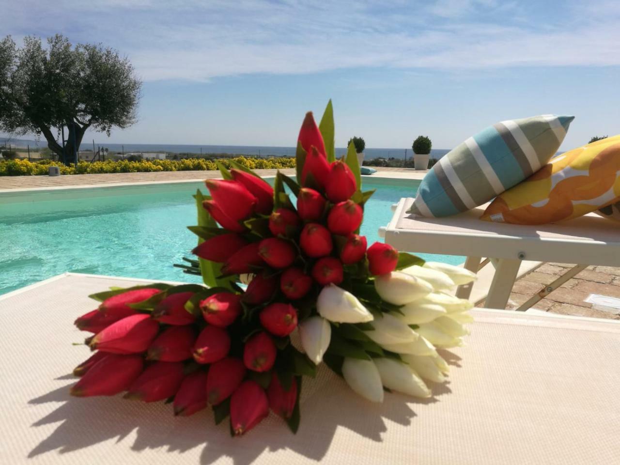 B&B Giglio Marino Salve Dış mekan fotoğraf